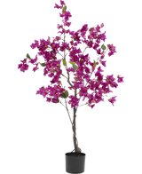 Die künstliche Bougainvillea 125 cm Lila hat leuchtend violette Blüten und üppig grüne Blätter an mehreren Zweigen, was sie zu einer farbenfrohen Kunstpflanze macht, die sich ideal zur Verschönerung jedes Innenraums eignet.