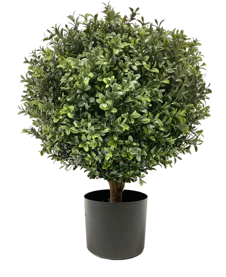 Der künstliche Buxus auf Stiel UV 40 cm ist eine runde, buschige grüne Form mit dichten Blättern in einem einfachen schwarzen Topf vor einem schlichten weißen Hintergrund.