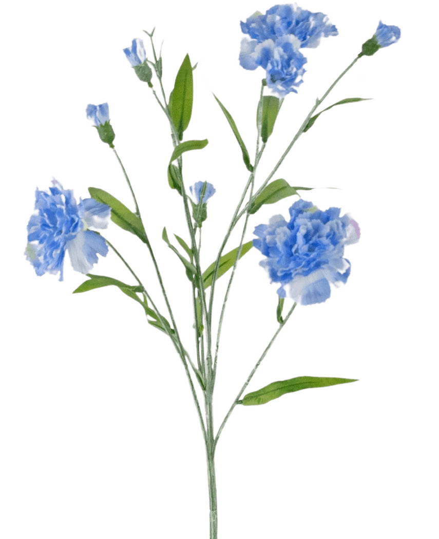 Der Kunstblumen-Nelkenstrauß 70 cm blau hat einen zarten Stiel mit mehreren hellblauen Nelkenblüten und grünen Blättern vor einem schlichten weißen Hintergrund.