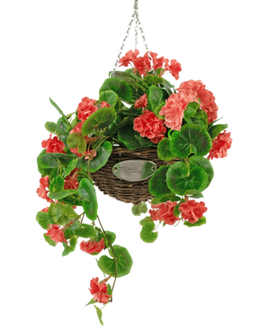Die künstliche Begonie Pink im Korb UV 70 cm ist ein hängender Weidenkorb mit üppigen grünen Blättern und leuchtend korallenrosa Begonienblüten, der an einer silbernen Kette vor einem weißen Hintergrund hängt.