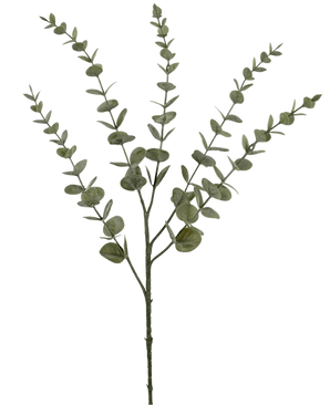 Die Kunstblume Eukalyptus Yugali 71 cm ist ein einzelner künstlicher Stiel mit fünf verzweigten Zweigen und kleinen, runden grünen Blättern, isoliert auf weißem Hintergrund dargestellt.