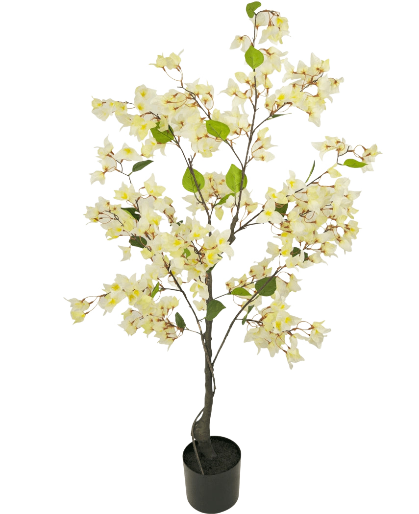 Die künstliche Bougainvillea 120 cm weiß ist ein künstlicher Baum im Topf mit schlanken Zweigen, grünen Blättern und üppigen hellgelben und weißen Blüten vor einem schlichten weißen Hintergrund.