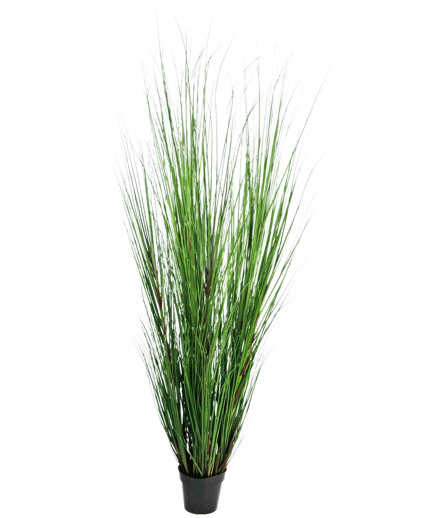 Die Kunstrasenpflanze Zwiebel 170 cm ist eine hohe, feuerhemmende Kunstrasenpflanze mit langen, dünnen grünen Halmen in einem kompakten schwarzen Topf, dargestellt vor einem schlichten weißen Hintergrund.