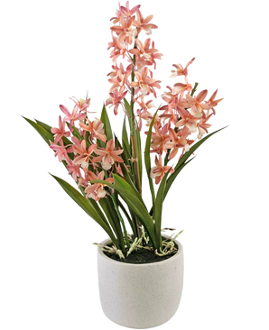 Die künstliche Cymbidium-Pflanze in Rosa (58 cm) hat hohe grüne Blätter und Büschel aus rosa und weißen Orchideenblüten, die in einem einfachen weißen Keramiktopf angeordnet sind und sich perfekt zur Verschönerung jedes Raums eignen.