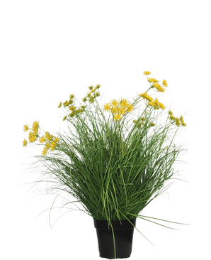 Die feuerhemmende Kunstrasenpflanze Asteraceae 70 cm hat lange, dünne grüne Blätter und Büschel kleiner gelber Blüten in einem schwarzen Topf, eine pflegeleichte Kunstrasenpflanze vor einem schlichten weißen Hintergrund.