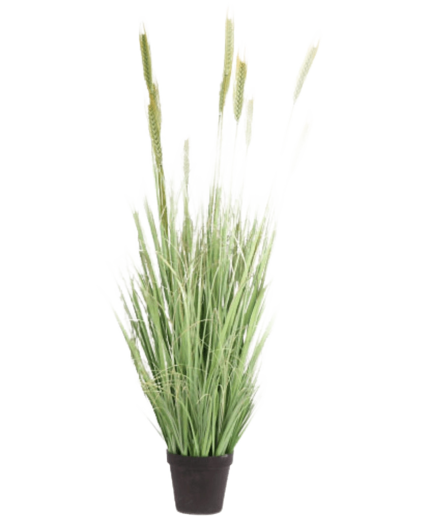 Die feuerhemmende Kunstrasenpflanze Grün 160 cm hat lange, schlanke Halme und Samenköpfe in einem kleinen schwarzen Topf. Ideal als stilvolle, feuerhemmende Kunstpflanze für jeden Raum.