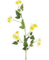 Die künstliche Blume Butterblume 77 cm ist ein einzelner grüner Stiel mit mehreren Zweigen, kleinen gelben Blüten und grünen Blättern – ideal zum Zusammenstellen Ihres Blumenstraußes – dargestellt auf einem schlichten weißen Hintergrund.