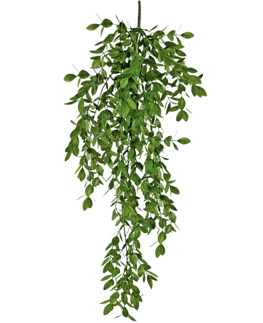 Die künstliche Hängepflanze Jasmin 70 cm hat dichte Büschel kleiner grüner Blätter, die auf natürliche Weise herunterfallen und einen üppigen, drapierten Effekt vor einem weißen Hintergrund erzeugen.
