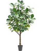 Die Kunstbaum-Tabakpflanze 270 cm ist ein hoher Kunstbaum mit üppigen, großen grünen Blättern und einem kräftigen braunen Stamm, in einem kleinen schwarzen Topf vor einem schlichten weißen Hintergrund.