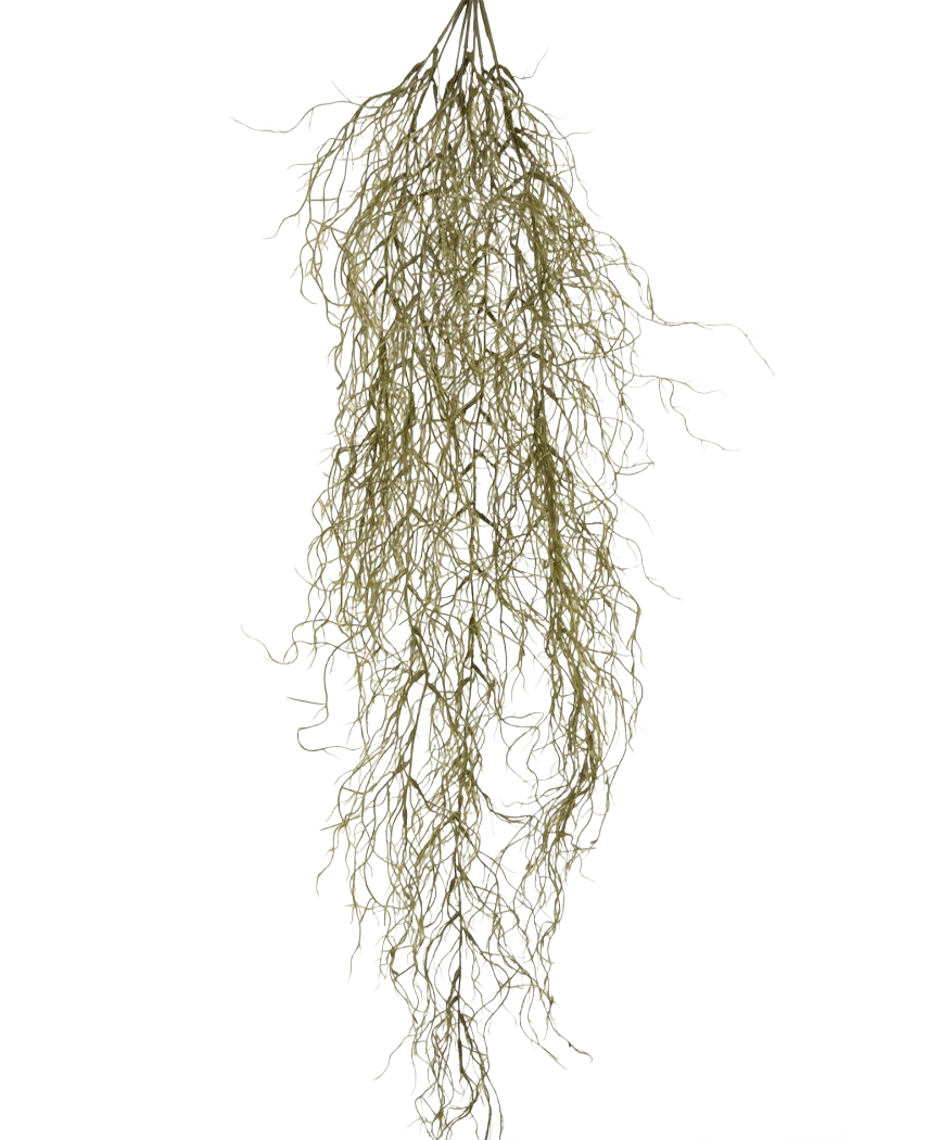 Die künstliche Hängepflanze Sudo 110 cm hat dünne, lange, gekräuselte, getrocknete Zweige, die vor einem schlichten weißen Hintergrund herabhängen. Als einzigartige künstliche Hängepflanze verleiht sie Ihrem Raum Atmosphäre und Gemütlichkeit.