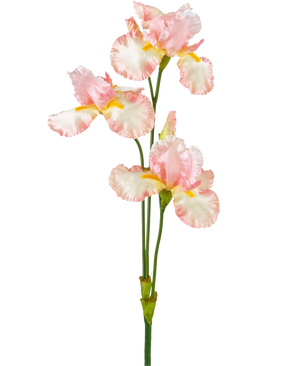 Eine künstliche Irisblume, 102 cm, hellrosa, hat mehrere zarte hellrosa und weiße Rüschen mit gelben Akzenten auf einem schlichten weißen Hintergrund.