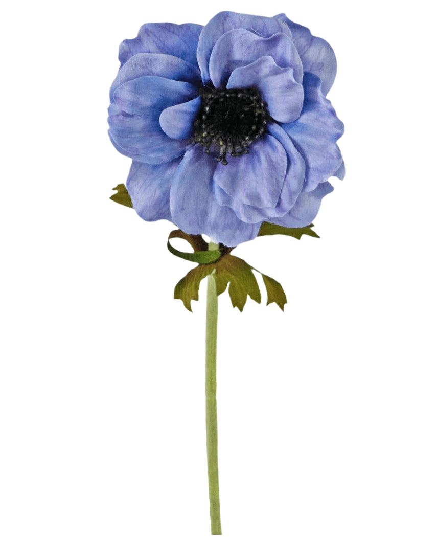 Eine einzelne künstliche Blumenanemone, 35 cm, blau mit gerüschten blauen Blütenblättern, einem dunklen Herzen und einem grünen Stiel mit ein paar Blättern vor einem weißen Hintergrund.