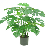 Künstliche Monstera