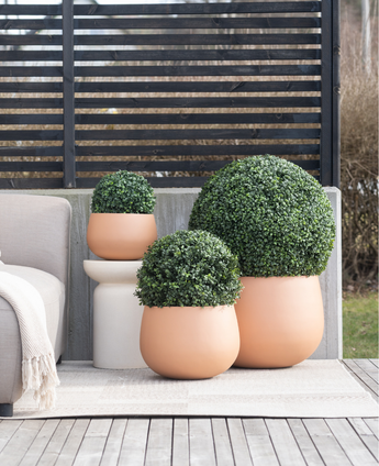 Drei künstliche UV-Terrakotta-Pflanzgefäße im römischen Stil (D30 cm) mit beschnittenen grünen Sträuchern stehen auf einer Terrasse neben einem beigen Außensofa und einem kleinen weißen Tisch, dahinter befindet sich ein Sichtschutz mit Lamellen.