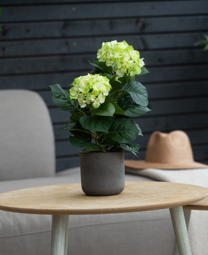 Die künstliche Hortensie Grün UV 35 cm mit hellgrünen Blüten steht auf einem runden Holztisch. Dahinter stehen ein grauer Stuhl mit Kissen und ein beiger Hut auf einer hellen Decke.