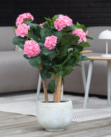 Die künstliche Hortensie UV 85 cm in Rosa hat leuchtend rosa Hortensienblüten und dunkelgrüne Blätter in einem Topf und eignet sich perfekt für die Innendekoration auf einem Holzboden mit einem Sofa und einem Tisch im Hintergrund.