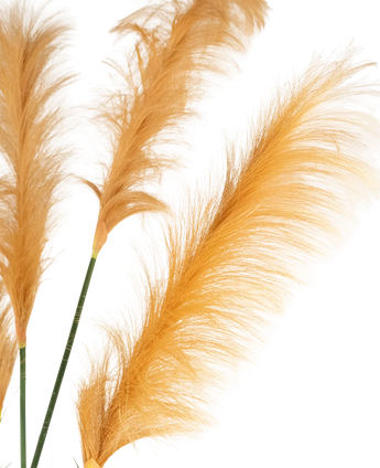 Drei goldorange künstliche Pampasgras 150 cm mit feuerhemmenden Stielen zeigen federleichte Federn vor weißem Hintergrund. Weiche, zarte Texturen werden durch die Beleuchtung wunderbar hervorgehoben.
