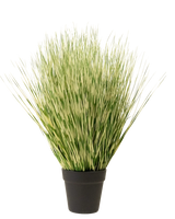 De Kunst Grasplant Zebra 55 cm heeft lange, dunne groene en witte bonte grasachtige bladeren in een eenvoudige zwarte pot, tegen een effen witte achtergrond.