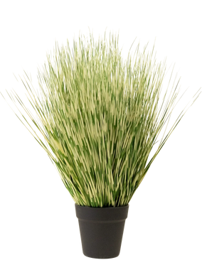 De Kunst Grasplant Zebra 55 cm heeft lange, dunne groene en witte bonte grasachtige bladeren in een eenvoudige zwarte pot, tegen een effen witte achtergrond.