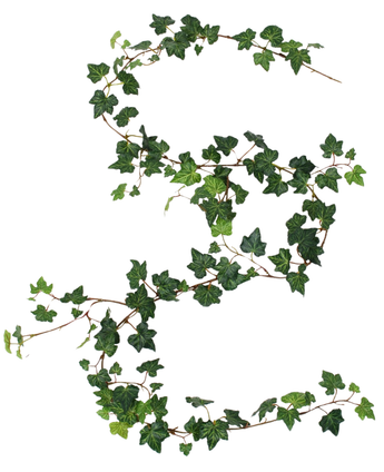 Eine künstliche Hängepflanze Efeu-Girlande Deluxe von 180 cm, grün, ist in Form eines S auf weißem Hintergrund drapiert.