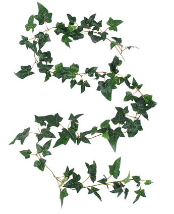 Die künstliche Hängepflanze Ivy Boston Garland 180 cm grün besteht aus einer einzelnen künstlichen Efeuranke mit dunkelgrünen Blättern, die sich elegant auf einem weißen Hintergrund schlängelt.