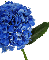 Eine Nahaufnahme der künstlichen Blume Charlotte Hortensia Real Touch in Dunkelblau (55 cm) mit einer leuchtend blauen künstlichen Hortensienblüte mit grünen Blättern und Stiel vor einem weißen Hintergrund.