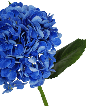 Eine Nahaufnahme der künstlichen Blume Charlotte Hortensia Real Touch in Dunkelblau (55 cm) mit einer leuchtend blauen künstlichen Hortensienblüte mit grünen Blättern und Stiel vor einem weißen Hintergrund.