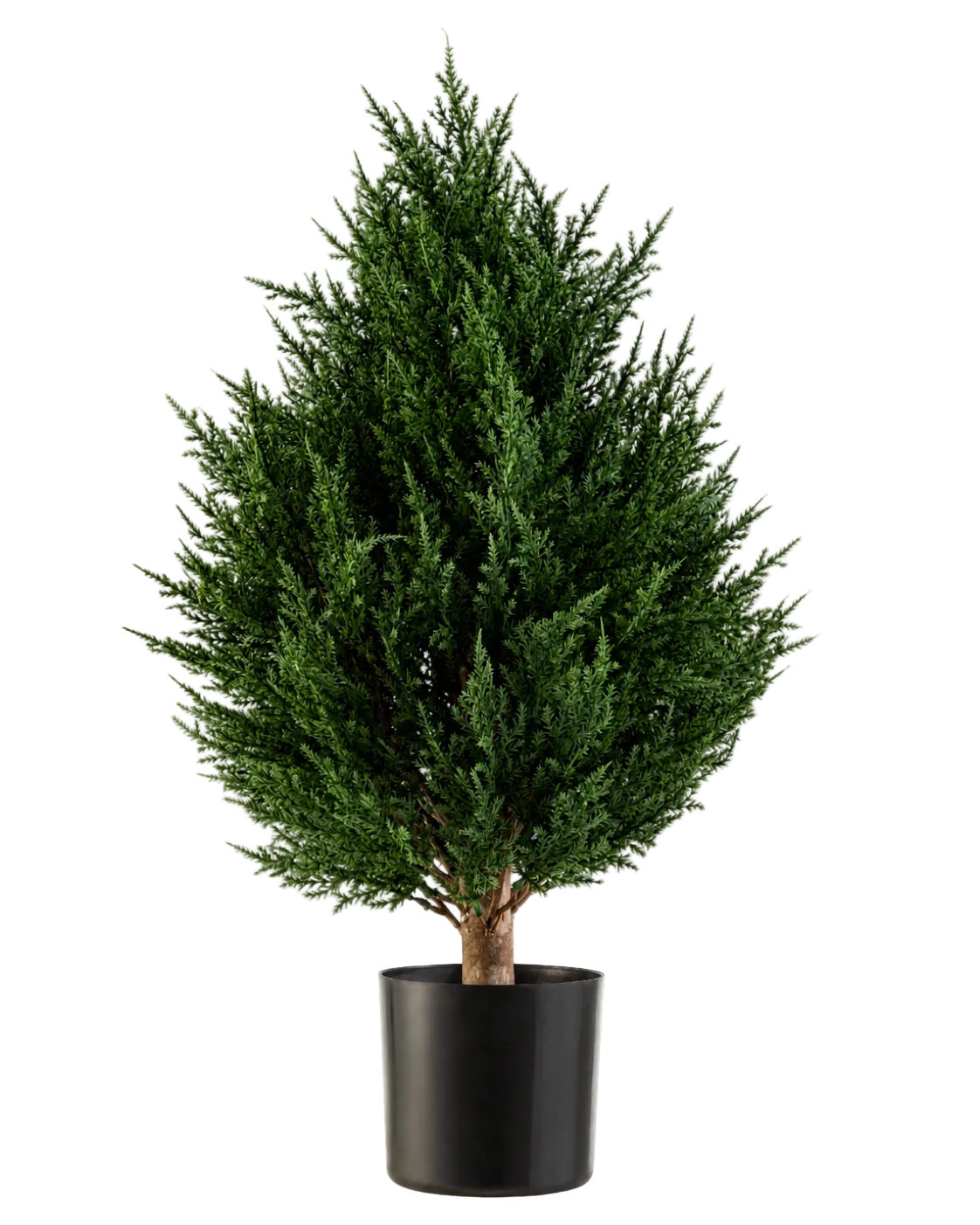 Die Kunstpflanze Conifer Deluxe UV 60 cm von Easyplants ist eine kompakte, buschige Kunstpflanze mit immergrünem Blattwerk und sattgrünem Blattwerk, präsentiert in einem schwarzen Topf vor weißem Hintergrund. Dies macht sie zu einer hervorragenden Wahl unter den künstlichen Pflanzen für den Außenbereich und sorgt mühelos für lebendiges Grün in jeder Umgebung.