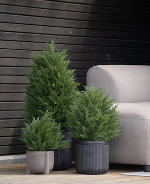 Die künstlichen Koniferen UV 40 cm werden auf einer Holzterrasse neben einem hellgrauen Outdoor-Sofa an einer modernen Wand mit dunklen Holzpaneelen platziert.