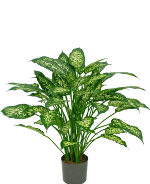 Eine 75 cm große künstliche Dieffenbachia-Pflanze mit üppig grünen Blättern, verziert mit hellgelbgrünen Markierungen, dargestellt vor einem schlichten weißen Hintergrund.