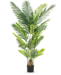 Künstliche Pflanze Phoenix 200 cm
