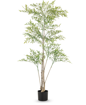 Der künstliche Ruscus 150 cm hat lange, dünne Zweige und hellgrüne Blätter in einem schwarzen Topf vor weißem Hintergrund – ideal als dekorative Inneneinrichtung für jeden Raum.