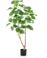 Die Kunstpflanze Ficus 150 cm hat mehrere schlanke braune Stängel und große, breite grüne Blätter, präsentiert in einem hohen Topf vor einem schlichten weißen Hintergrund.