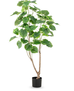 Die Kunstpflanze Ficus 150 cm hat mehrere schlanke braune Stängel und große, breite grüne Blätter, präsentiert in einem hohen Topf vor einem schlichten weißen Hintergrund.