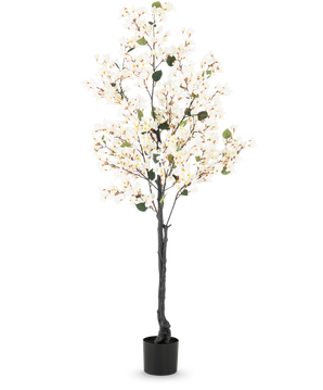 Die künstliche Bougainvillea 180 cm weiß ist ein hoher Kunstbaum mit dunklen Zweigen, kleinen grünen Blättern und weißen LED-Lichtern in einem einfachen schwarzen Topf vor einem schlichten weißen Hintergrund.