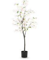 Die künstliche Kirschblüte 150 cm weiß ist ein hoher künstlicher Kirschbaum mit zarten weißen Blüten und kleinen grünen Blättern in einem schlichten schwarzen Topf, dargestellt vor einem schlichten hellen Hintergrund.