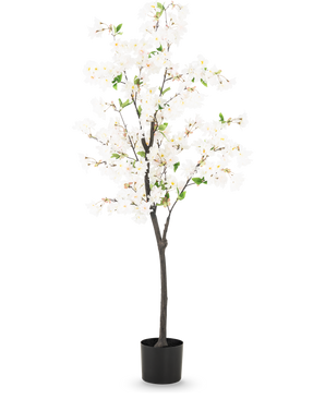 Die künstliche Kirschblüte 150 cm weiß ist ein hoher künstlicher Kirschbaum mit zarten weißen Blüten und kleinen grünen Blättern in einem schlichten schwarzen Topf, dargestellt vor einem schlichten hellen Hintergrund.