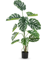 Die Kunstpflanze Monstera 120 cm ist eine hohe künstliche Monstera in einem Topf mit großen, glänzend grünen Blättern mit natürlich aussehenden Löchern und Rissen vor einem schlichten weißen Hintergrund.