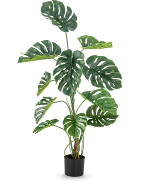 Die Kunstpflanze Monstera 120 cm ist eine hohe künstliche Monstera in einem Topf mit großen, glänzend grünen Blättern mit natürlich aussehenden Löchern und Rissen vor einem schlichten weißen Hintergrund.