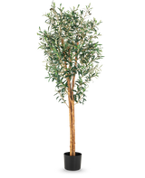 Der künstliche Olivenbaum UV 160 cm ist ein hoher künstlicher Olivenbaum mit schlanken Zweigen, grünen Blättern und einem Stamm mit realistischer Struktur in einem schlichten schwarzen Topf vor weißem Hintergrund.