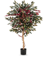 Die Kunstpflanze Ficus grün/rot 150 cm hat einen gedrehten hellbraunen Stamm, grüne und bordeauxrote Blätter und wird in einem schwarzen Topf geliefert – ideal als auffällige Zimmerpflanze vor weißem Hintergrund.