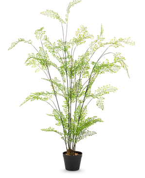 Der 120 cm große künstliche Farn hat lange, schlanke Stängel und kleine, feine grüne Blätter, die elegant in einem Topf vor einem schlichten weißen Hintergrund angeordnet sind – eine ideale, pflegeleichte Zimmerpflanze für Ihre Inneneinrichtung.