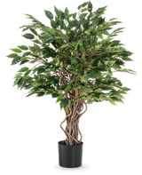 Die Kunstpflanze Ficus Liana 90 cm hat gedrehte braune Stämme und dichte grüne Blätter in einem schwarzen Topf, ideal als Büropflanze oder für jede Ficus-Sammlung, dargestellt vor einem weißen Hintergrund.