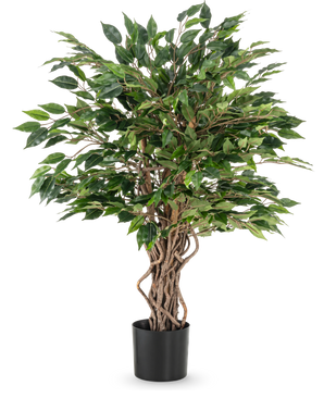 Die Kunstpflanze Ficus Liana 90 cm hat gedrehte braune Stämme und dichte grüne Blätter in einem schwarzen Topf, ideal als Büropflanze oder für jede Ficus-Sammlung, dargestellt vor einem weißen Hintergrund.