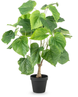 Die Kunstpflanze Ficus 60 cm hat große, grüne, herzförmige Blätter und einen strukturierten Stiel in einem schlichten schwarzen Kunststofftopf vor einem weißen Hintergrund.