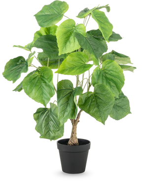 Die Kunstpflanze Ficus 60 cm hat große, grüne, herzförmige Blätter und einen strukturierten Stiel in einem schlichten schwarzen Kunststofftopf vor einem weißen Hintergrund.
