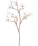 Der künstliche Magnolienzweig mit kleinen Blüten, 89 cm, weiß, hat einen einzelnen braunen Zweig mit mehreren Ablegern, mit mehreren offenen weißen Blüten mit einem hellrosa Herzen und kleinen grünen Blättern vor einem schlichten weißen Hintergrund.
