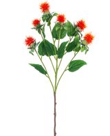 Die künstliche Blumendistel 79 cm orange hat einen einzelnen Stiel mit mehreren Zweigen, jeder mit zarten orangeroten und gelben Blüten mit grünen Blättern vor einem weißen Hintergrund.