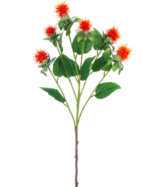 Die künstliche Blumendistel 79 cm orange hat einen einzelnen Stiel mit mehreren Zweigen, jeder mit zarten orangeroten und gelben Blüten mit grünen Blättern vor einem weißen Hintergrund.