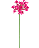 Die künstliche Blume Agapanthus 77 cm rosa hat einen einzelnen grünen Stiel mit mehreren Büscheln leuchtend rosa Blüten mit jeweils mehreren Blütenblättern vor einem schlichten weißen Hintergrund.